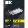 Светильник светодиодный IEK LT-DKU1-1011-030-50-K03 ДКУ 1011-30Ш 5000К IP65 консольный